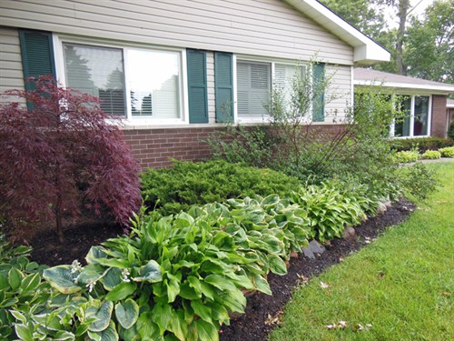 how-to-prune-lilac-bushes-blain-s-farm-fleet-blog