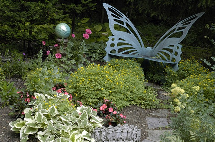 ButterflyBench8296.jpg