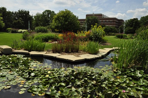 MSUHortPond8948s.jpg