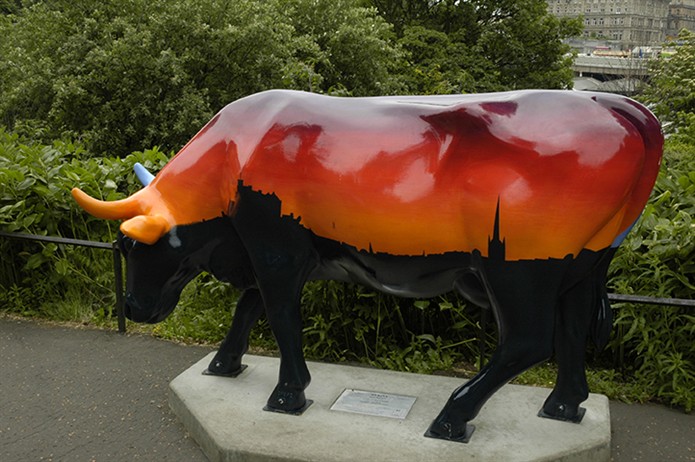 EdinbrughCow5301.jpg